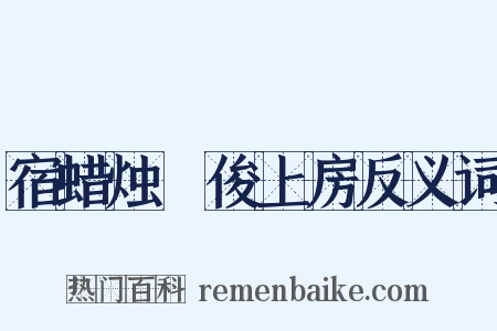 宿蜡烛菴俊上房反义词是什么意思的图片